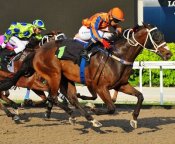 Shafiq Rizuan brings Bazinga with a barnstorming run to win Race 10 on Friday.<br>Photo by Singapore Turf Club